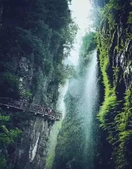 巧虎足球传送门